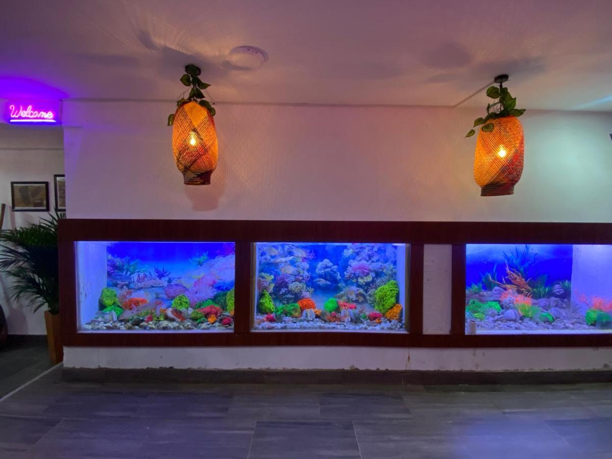 Acuarios Hostal Плайя-Ладрильерос Экстерьер фото